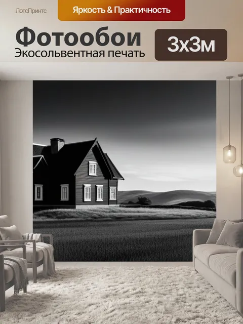 Фотообои написать пейзаж с домом чернобелый