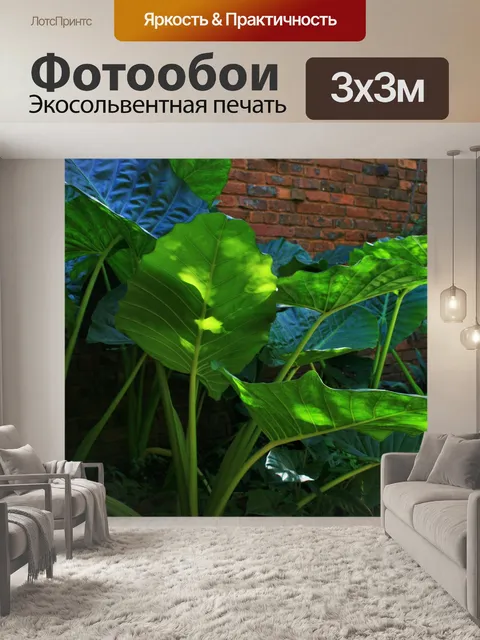 Фотообои слон ухо листья