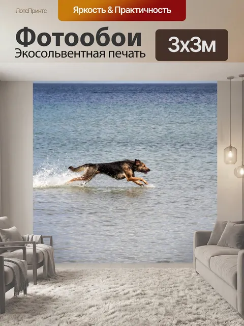 Фотообои Собака