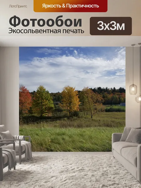 Фотообои Четыре осенних дерева