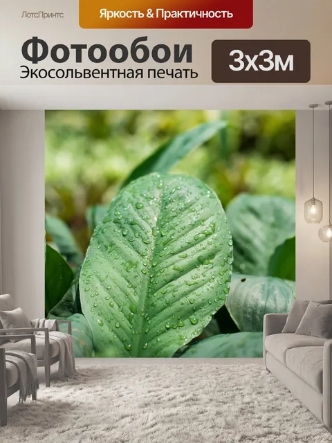 Фотообои Капельки росы