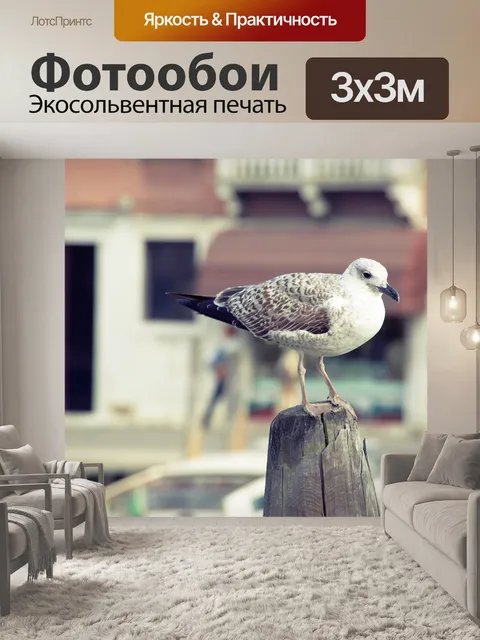 Фотообои Птица