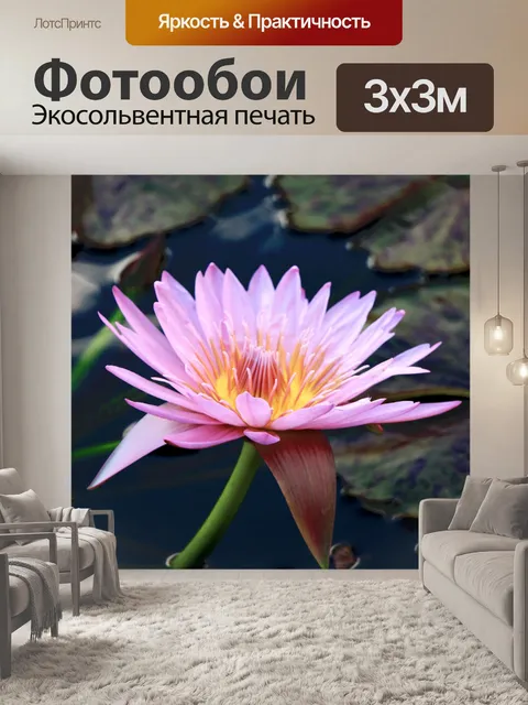 Фотообои Розовая водяная лилия