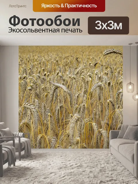 Фотообои Пшеница