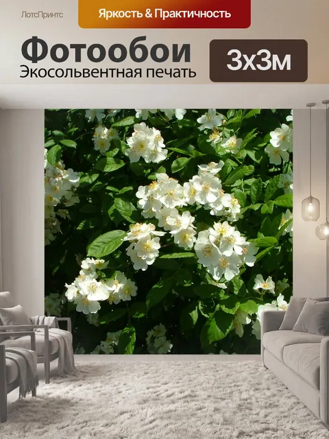 Фотообои Белые цветы