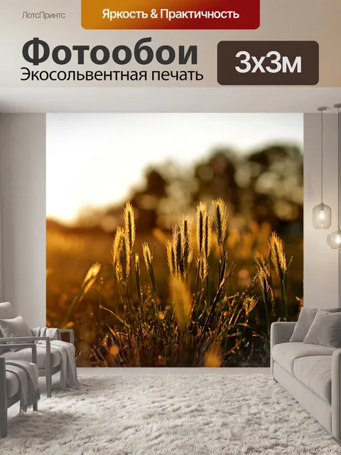 Фотообои День s