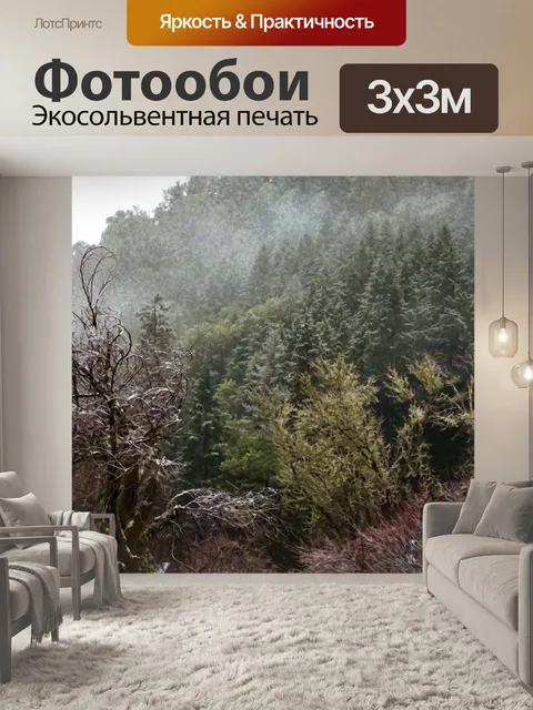 Фотообои Зимний лес