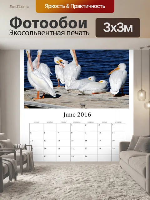 Фотообои Июнь 2016 Календарь диких птиц