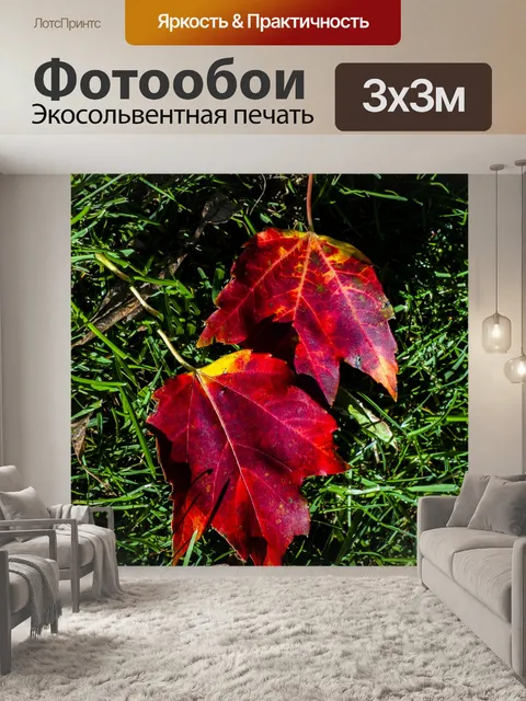Фотообои Кленовые листья