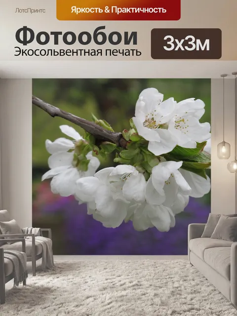 Фотообои Белые цветы
