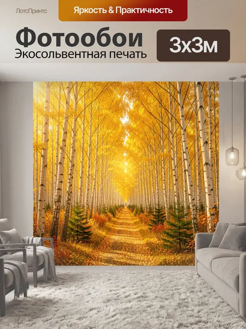 Фотообои Осенний берёзовый лесной тоннель