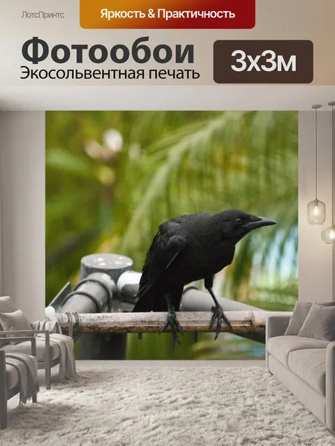Фотообои Черная птица