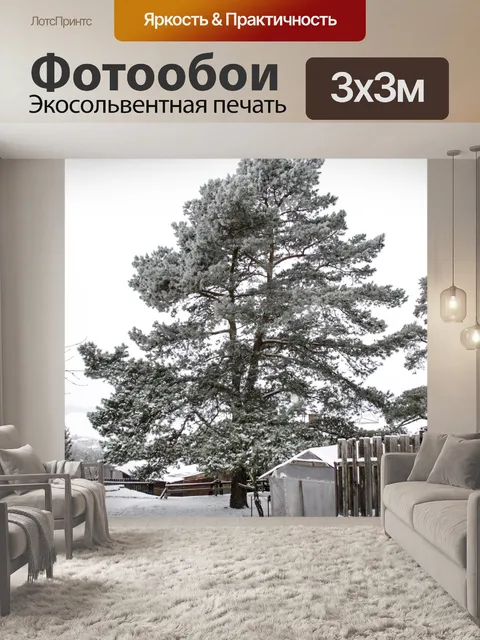 Фотообои Зимний лес