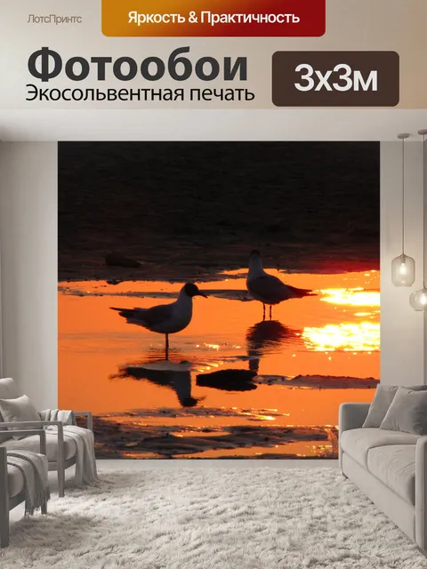Фотообои Чайка и солнце