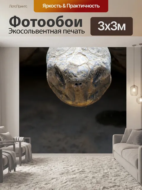 Фотообои Голова черепахи