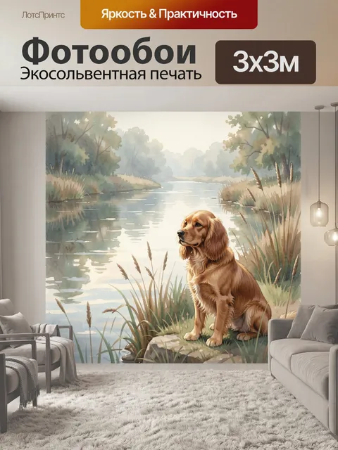 Фотообои Собака у тихой реки