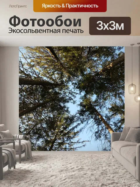 Фотообои Лес