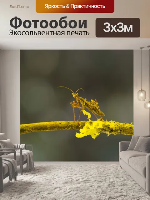 Фотообои Мимикрия