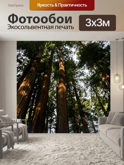 Фотообои Освещенный лес