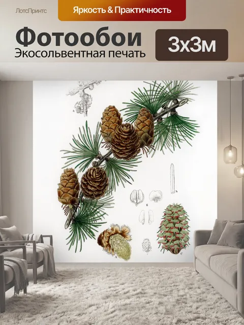 Фотообои Сосновые ветки шишки винтаж старые