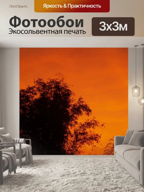 Фотообои Закат восход