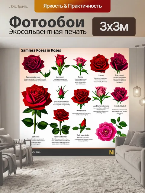 Фотообои розы в стиле инфографический рисунок, научный подход к изучению роз как символов