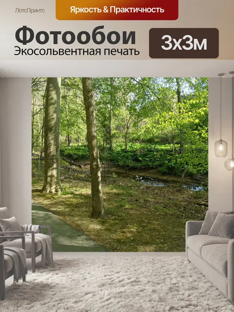 Фотообои Ручей