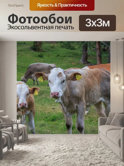 Фотообои Телец