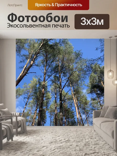 Фотообои Деревья