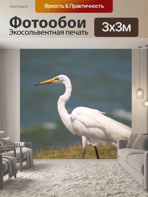Фотообои Белая цапля