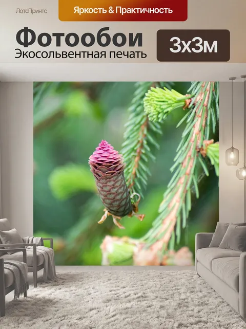 Фотообои Конус