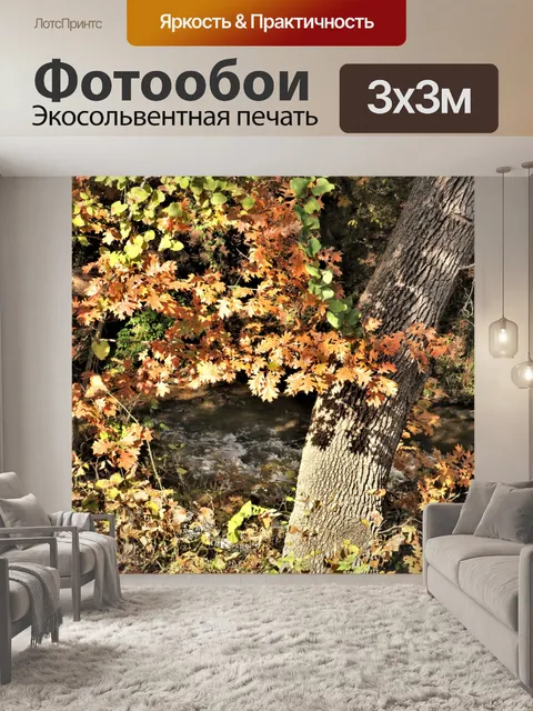 Фотообои Ручей через осенние листья