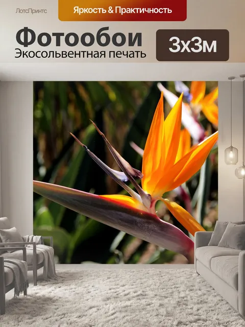 Фотообои Две птицы-райские цветы