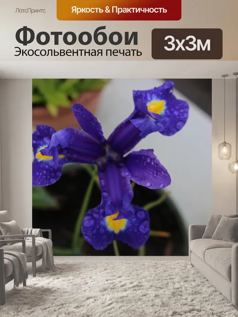 Фотообои Цветок