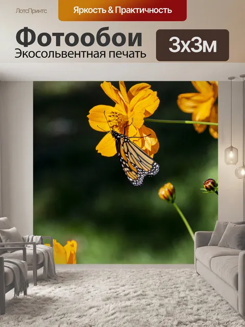 Фотообои Бабочка монарх