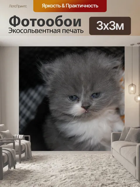 Фотообои Ползунок