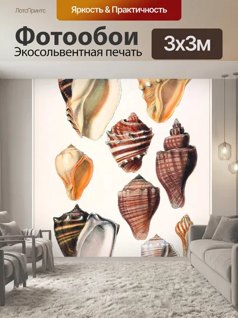 Фотообои Мидии улитки винтажное искусство