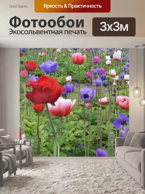 Фотообои Поле цветок мака