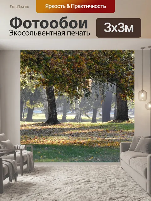 Фотообои Деревья осенью