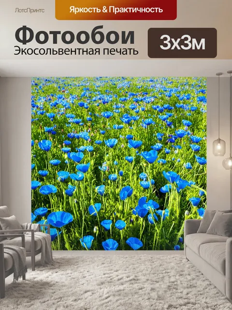 Фотообои снимок из высоты птичьего полета цветущего поля