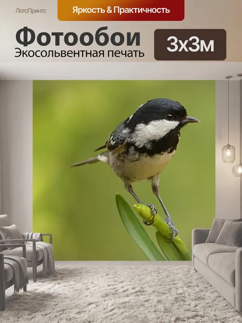 Фотообои Каменная синица