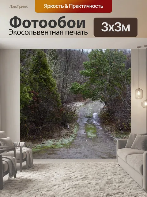 Фотообои Мутная проселочная дорога