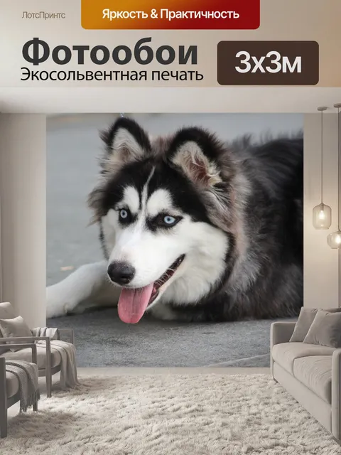 Фотообои Красивая собака