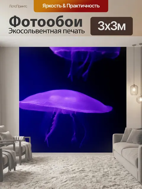 Фотообои медуза