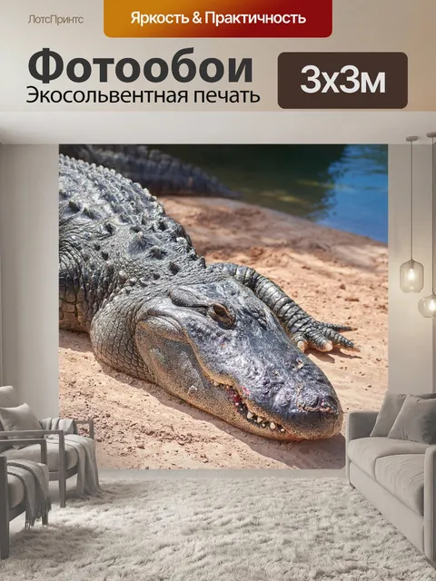 Фотообои Крокодил
