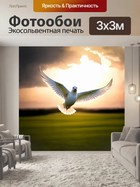 Фотообои птица, красивая голубка, парит над зелеными просторами, её перья переливаются в лучах заходящего солнца
