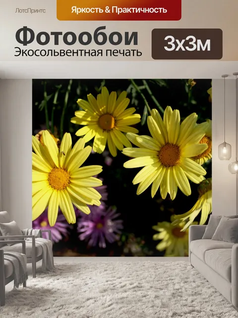 Фотообои ромашка триплет