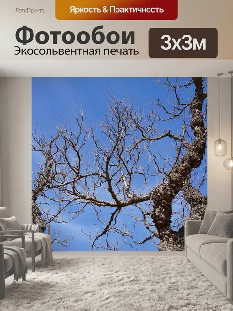 Фотообои Дерево