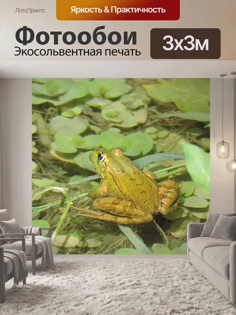 Фотообои Плитвицкие озёра