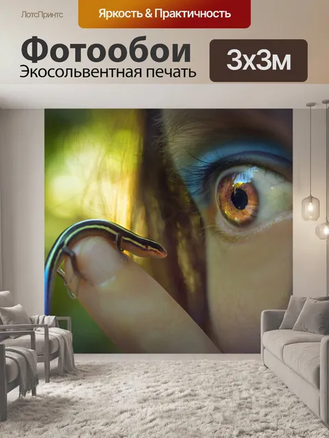 Фотообои Западный сцинк